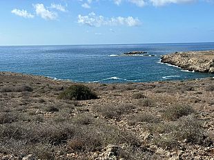 nasce-a-favignana-il-comitato-spontaneo-salviamo-lo-stornello