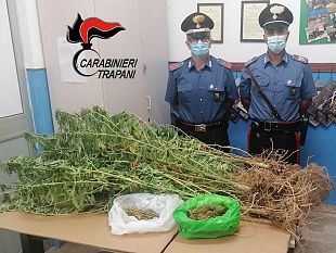 trapani/trapani-sorpreso-dai-carabinieri-a-coltivare-marijuana-arrestato