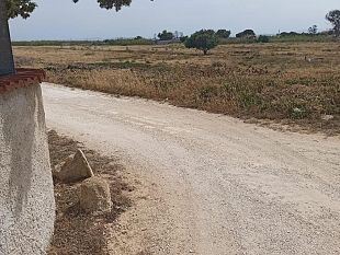 castelvetrano/avviso-per-la-locazione-di-un-terreno-confiscato-alla-mafia-a-tre-fontane