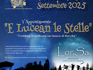 trekking-in-notturna-nel-bosco-di-marcita