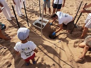 82-tartarughine-caretta-caretta-nascono-a-selinunte-castelvetrano-sotto-la-protezione-degli-dei