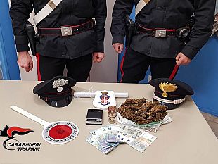 trapani-cani-a-guardia-della-droga-un-arresto-dai-carabinieri