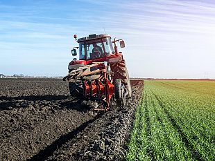 trapani/unioncamere-sicilia-webinar-per-focus-su-agricoltura-40
