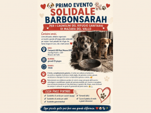 mazara-il-25-giugno-levento-solidale-organizzato-da-barbonsarah-per-i-cani-del-rifugio-sanitario