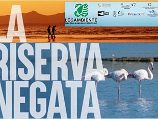 lo-stagnone-tra-degrado-e-tutela-a-birgi-il-convegno-di-legambiente-la-riserva-negata