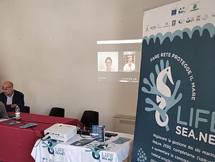 da-favignana-parte-il-primo-forum-di-life-seanet-dedicato-ai-pescatori