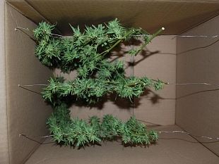 mazara-ennesimo-arresto-della-squadra-investigativa-del-commissariato-di-p-s-arrestato-uno-spacciatore-in-via-valdemone