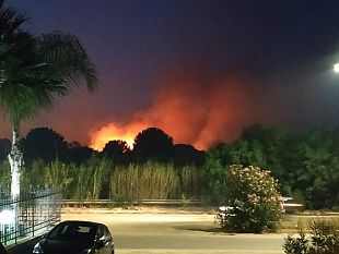 dieci-ettari-di-terreno-in-fiamme-a-triscina-per-ferragosto-decisivo-lintervento-del-noe-e-dei-vigili-del-fuoco