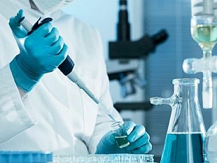 agricoltura-e-non-solo-traveller-cicuta-ibrida-resistente-agli-insetti