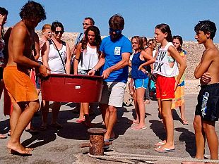 salvati-due-esemplari-di-caretta-caretta-a-marsala-e-marettimo-e-ricoverati-presso-il-centro-di-primo-soccorso-per-tartarughe-marine-dell-amp-isole-egadi