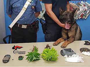 trapani-droga-sequestrata-dai-carabinieri-una-denuncia