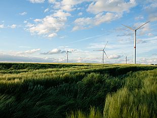 mazara-ampliamento-del-parco-eolico-al-confine-con-il-territorio-di-petrosino