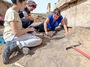 parco-archeologico-di-selinunte-nuovi-scavi-del-santuario-di-hera-alla-gaggera