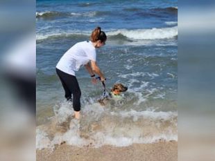 trapani-cani-senza-famiglia-al-mare-con-i-volontari-di-oipa