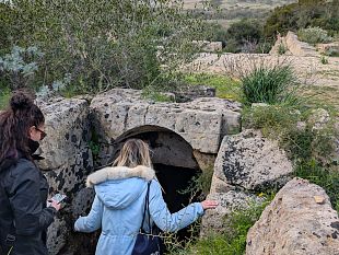 oggi-e-domani-visite-guidate-al-parco-archeologico-di-selinunte