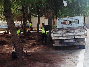 proseguono-i-lavori-di-scerbatura-previsti-interventi-in-tutto-il-territorio-comunale