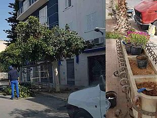 mazara-potatura-e-sfoltitura-degli-alberi-nel-territorio-cittadino