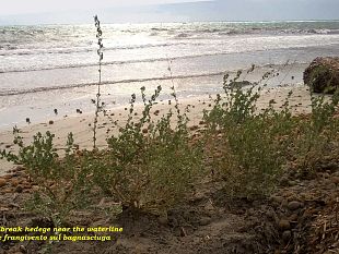 a-mazara-del-vallo-un-progetto-contro-l-erosione-eolica-della-spiaggia