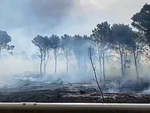 incendio-al-bosco-magaggiaro-sindaco-di-montevago-grave-ferita-per-il-territorio-taglia-a-chi-segnala-i-piromani