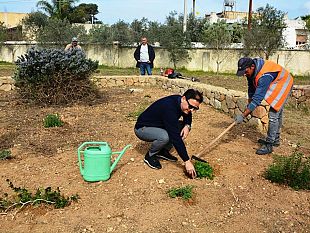 mazara-aderisce-a-millumino-di-meno-2020-inaugurato-lorto-botanico-al-giardino-degli-emiri-di-miragliano