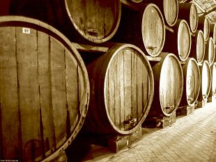 marsala/a-marsala-la-i-edizione-perpetuo-wine-fest-vini-a-carattere-ossidativo