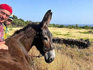 lasino-pantesco-diventa-educatore-animatore-territoriale-e-guida-turistica