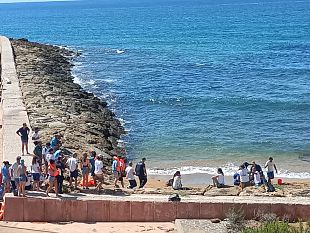 a-capo-granitola-il-primo-corso-di-formazione-sulla-gestione-dei-cetacei-spiaggiati-vivi