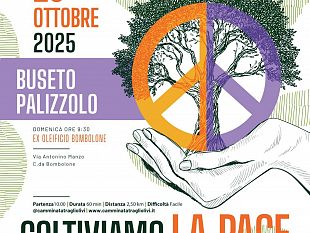 buseto-palizzolo-una-camminata-tra-gli-olivi-per-coltivare-la-pace