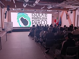 i-giapponesi-amano-pantelleria-la-sicilia-lascia-il-segno-allexpo-2025-di-osaka