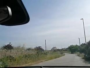 rubrica-segnalazioni-del-cittadino-sp4-le-sterpaglie-invadono-la-carreggiata
