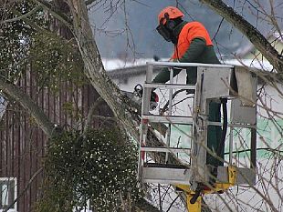 gibellina-il-19-e-20-luglio-chiusa-meta-carreggiata-del-viale-santa-ninfa