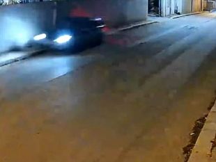 mazara-alta-velocita-in-via-del-mare-investito-un-cane-davanti-loasi-lamia