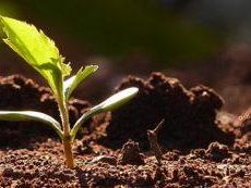 il-comune-di-partanna-sara-presente-al-consiglio-di-castelvetrano-a-sostegno-del-comparto-agricolo