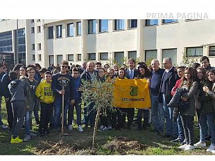 il-sindaco-castiglione-interviene-alla-manifestazione-promossa-dall-istituto-tecnico-v-accardi