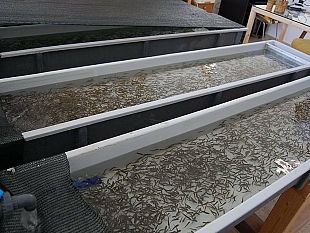 mazara-un-nuovo-impianto-di-acquacoltura-in-sicilia-tumbiolo-plaude-alliniziativa-della-azienda-agricola-algozino