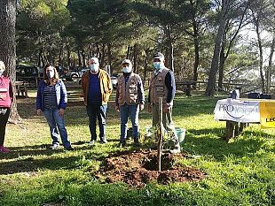 vita-due-iniziative-per-celebrare-la-festa-dellalbero