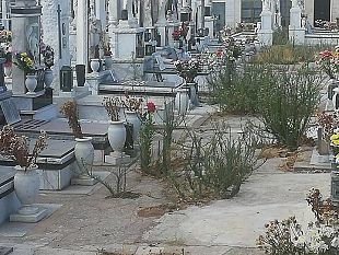 cimitero-in-abbandono-lo-denuncia-citta-nuova