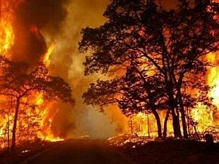 incendi-le-proposte-di-legambiente-sicilia