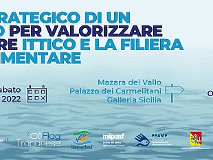 mazara/a-mazara-il-convegno-mare-nostro-organizzato-dal-flag-trapanese