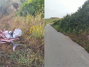 mazara-carcasse-di-tonno-abbandonate-allinterno-della-riserva-gorghi-tondi