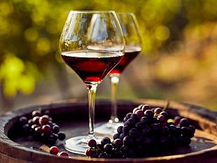 termini-imerese-corso-di-analisi-sensoriale-quarta-lezione-dedicata-al-vino