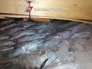 san-vito-lo-capo-sequestrate-due-tonnellate-di-tonno-rosso-senza-tracciabilita