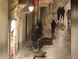 trapani-giovani-sradicano-piante-in-centro-storico