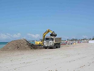 proseguono-i-lavori-di-pulizia-della-spiaggia-di-tonnarella