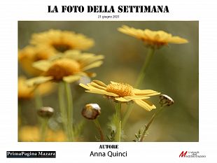 mazara-contest-la-foto-della-settimana-ecco-lo-scatto-vincente65