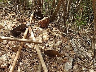 castelvetrano/forestali-il-governo-ne-ignora-i-problemi-e-le-attese