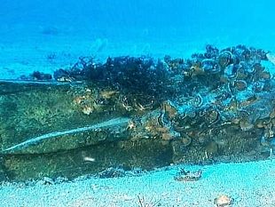 trapani/levanzo-individuato-un-rostro-romano-a-80-metri-di-profondita