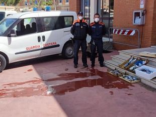 trapani/trapani-sequestrati-oltre-30-kg-di-prodotti-ittici-al-porto-peschereccio