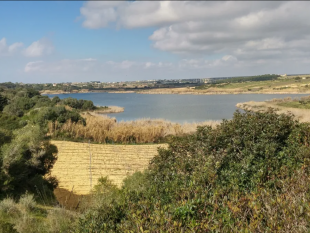 mazara-avviso-del-comune-e-wwf-per-acquisizione-terreni-privati-ricadenti-nella-riserva-lago-preola-e-gorghi-tondi