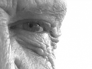 ultime-della-sera-il-mondo-di-salvino